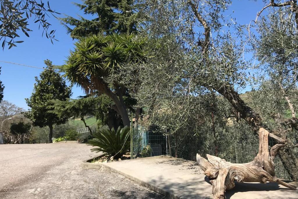 Апартаменты Casa Lu Monaco Tranquillita A Due Passi Dal Mare Порто-д'Асколи Экстерьер фото